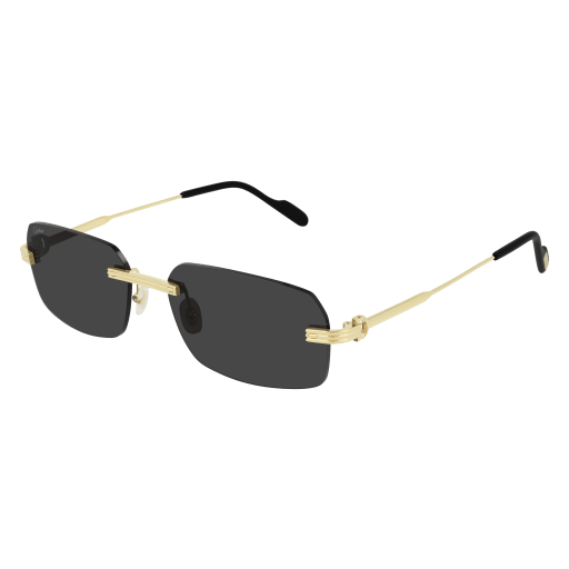 Lunettes CARTIER CT0271S-001