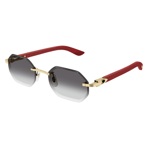 Lunettes CARTIER CT0439S-003