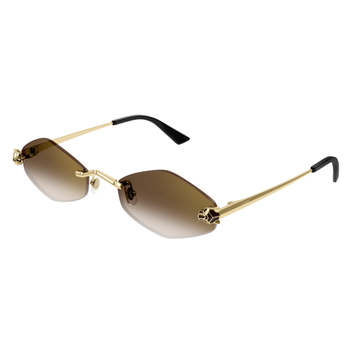 Lunettes CARTIER CT0433S-002