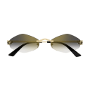 Lunettes CARTIER CT0433S-001