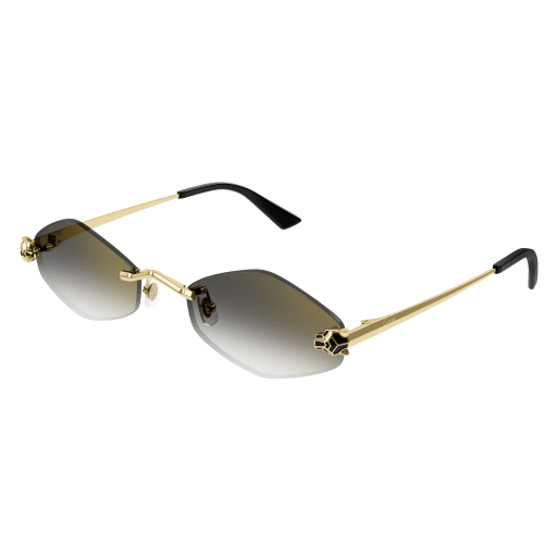 Lunettes CARTIER CT0433S-001