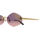 Lunettes CARTIER CT0433S-004