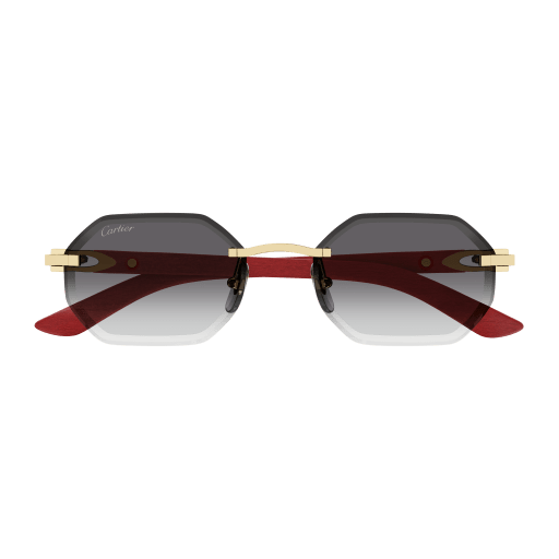 Lunettes CARTIER CT0439S-003