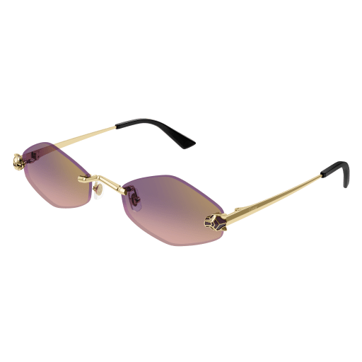 Lunettes CARTIER CT0433S-004