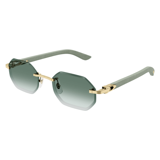 Lunettes CARTIER CT0439S-004