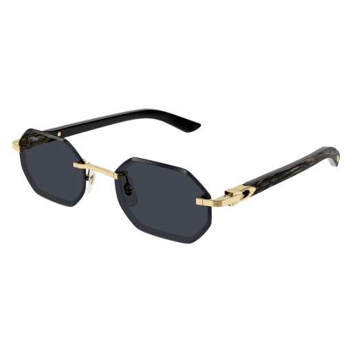 Lunettes CARTIER CT0439S-001