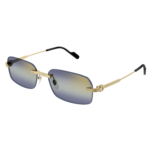 Lunettes CARTIER CT0271S-006