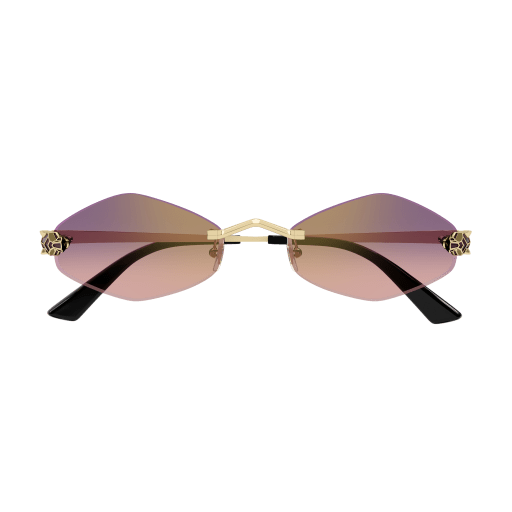 Lunettes CARTIER CT0433S-004