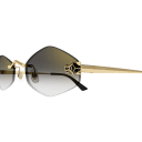 Lunettes CARTIER CT0433S-001