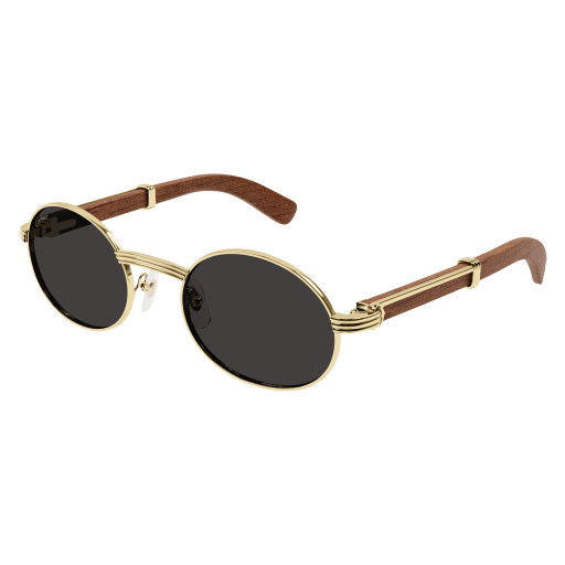 Lunettes CARTIER CT0464S-006