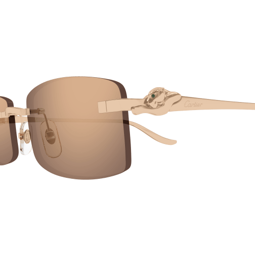 Lunettes CARTIER CT0552S-003