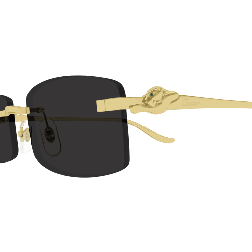 Lunettes CARTIER CT0552S-001