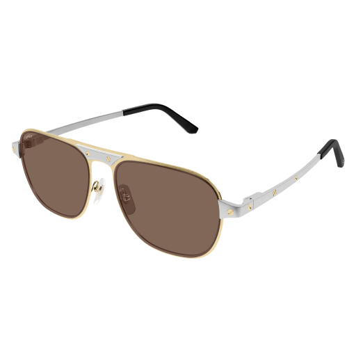 Lunettes CARTIER CT0532S-004
