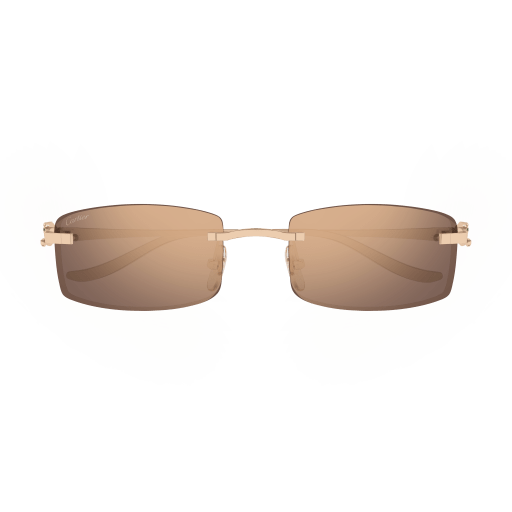 Lunettes CARTIER CT0552S-003