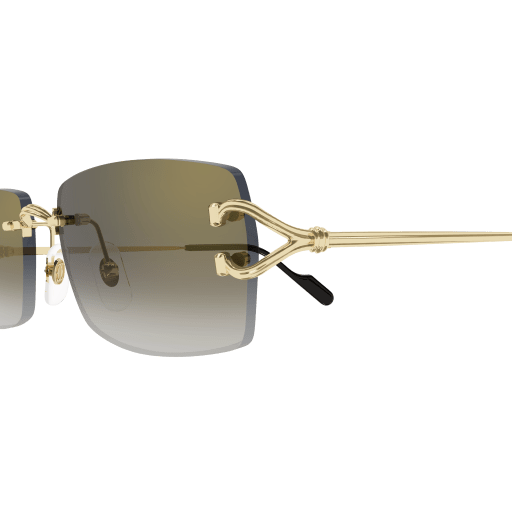 Lunettes CARTIER CT0550S-001