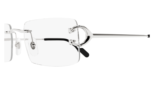 Lunettes Cartier CT04880 002