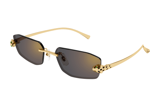 Lunettes CARTIER CT0474S-001