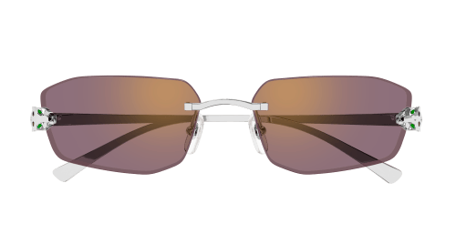 Lunettes CARTIER CT0474S-004