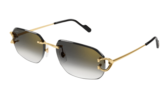 Lunettes CARTIER CT0468S-001