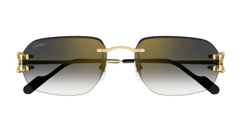 Lunettes CARTIER CT0468S-001
