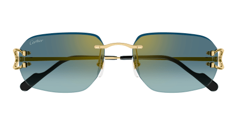 Lunettes CARTIER CT0468S-003