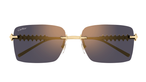 Lunettes CARTIER CT0545S-003