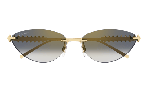 Lunettes CARTIER CT0543S-001