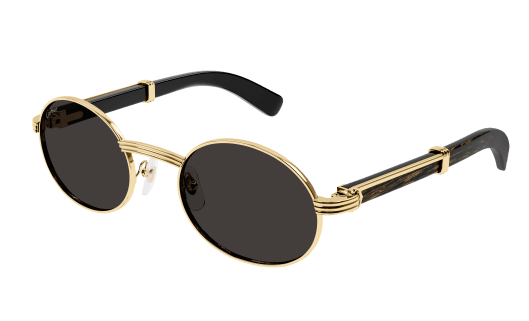Lunettes CARTIER CT0464S-001