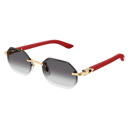 Lunettes CARTIER CT0439S-003