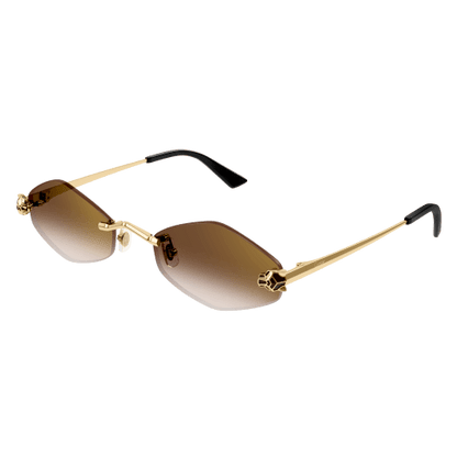 Lunettes CARTIER CT0433S-002