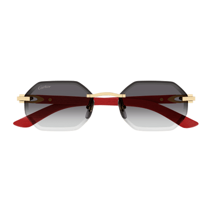 Lunettes CARTIER CT0439S-003