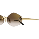 Lunettes CARTIER CT0433S-002
