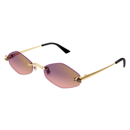 Lunettes CARTIER CT0433S-004