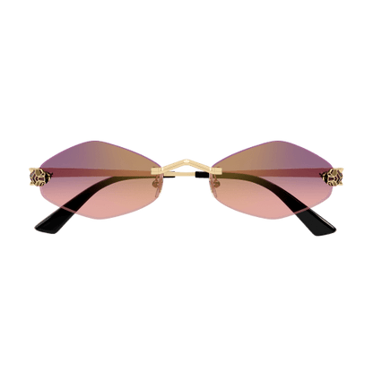 Lunettes CARTIER CT0433S-004