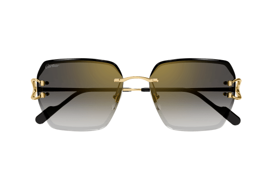 Lunettes CARTIER CT0466S-001