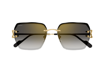 Lunettes CARTIER CT0466S-001