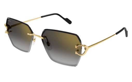 Lunettes CARTIER CT0466S-001