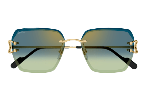 Lunettes CARTIER CT0466S-003