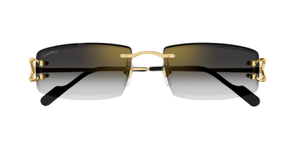 Lunettes CARTIER CT0465S-001
