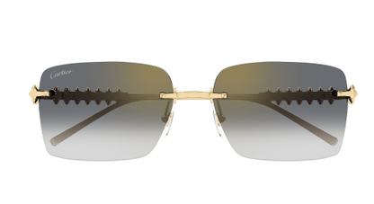 Lunettes CARTIER CT0545S-001