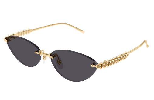 Lunettes CARTIER CT0543S-002