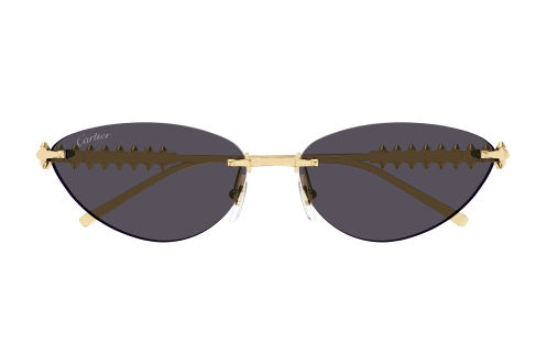 Lunettes CARTIER CT0543S-002