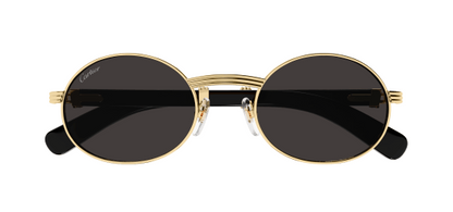 Lunettes CARTIER CT0464S-001