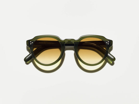 MOSCOT GAVOLT SUN