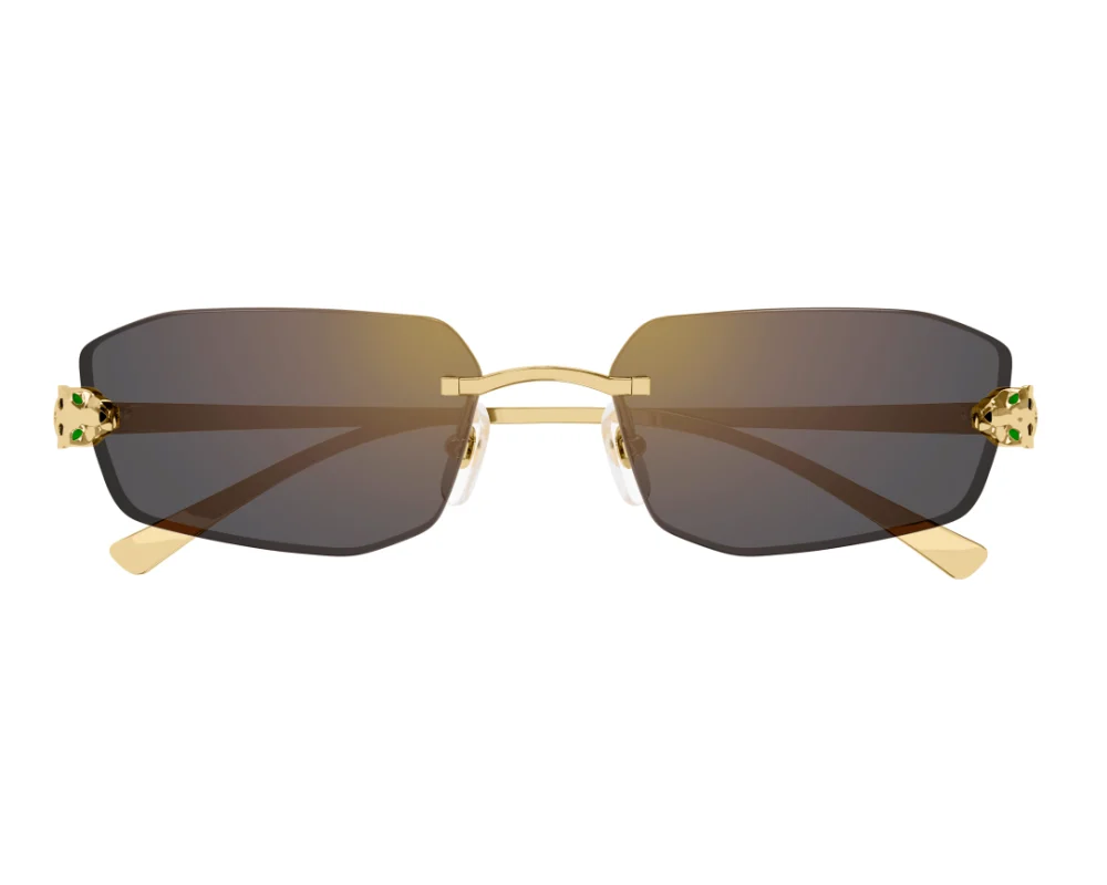 Lunettes CARTIER CT0474S-001