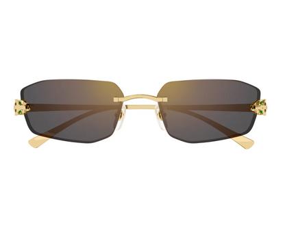 Lunettes CARTIER CT0474S-001