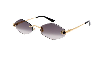 Lunettes CARTIER CT0433S-001