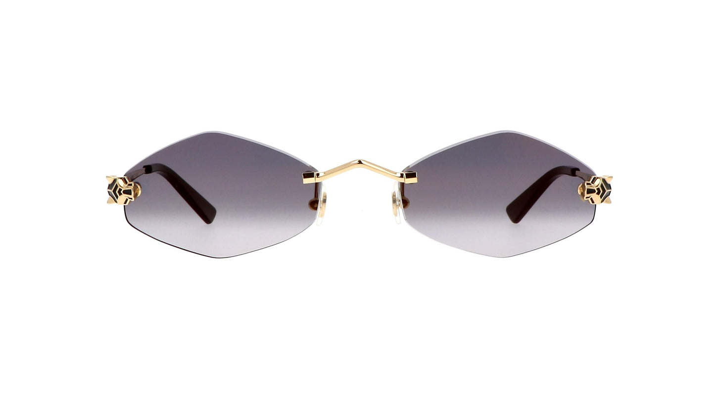 Lunettes CARTIER CT0433S-001