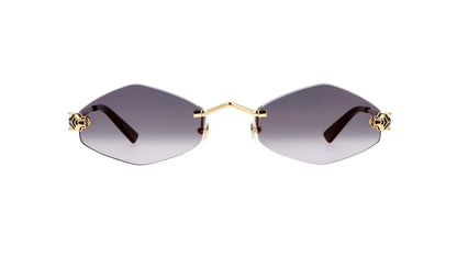 Lunettes CARTIER CT0433S-001