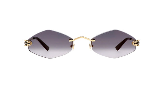 Lunettes CARTIER CT0433S-001